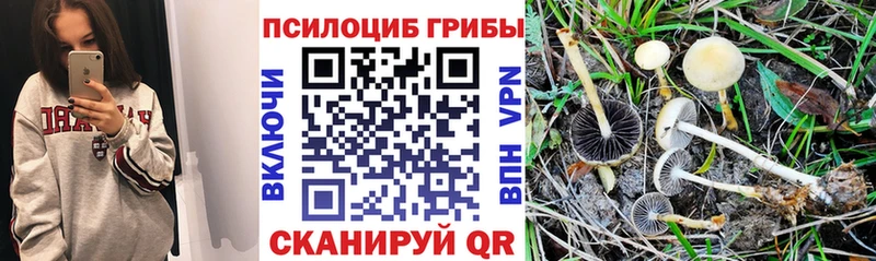 купить  цена  ссылка на мегу зеркало  Галлюциногенные грибы Psilocybine cubensis  Ликино-Дулёво 